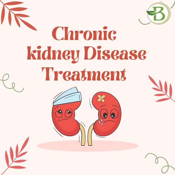 Chronic Kidney Disease And Acute Kidney Injury: A Guide To Holistic Care